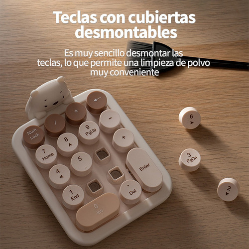 Teclado Numérico Mofii 052 Little Bear En Té Con Leche