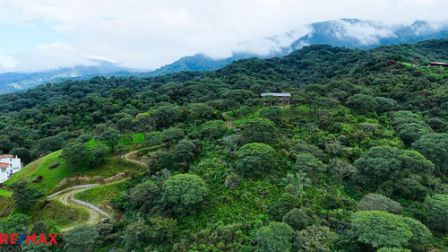 Terreno 1 Ha Venta Finca Castellanos San Lorenzo.