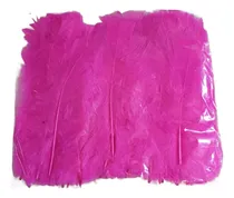 Comprar Plumas De Gallo X 50 Plumas 15cm Aprox - Souvenirs