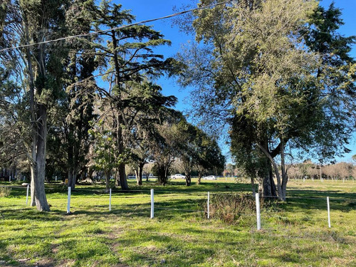 Lote Terreno En Venta 840 M2 - Parques Del Morenito, Moreno Norte