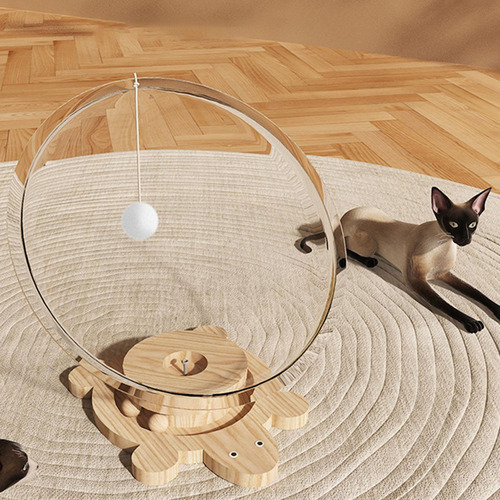 Cama Para Gatos En Cápsula Transparente, Cama Para L