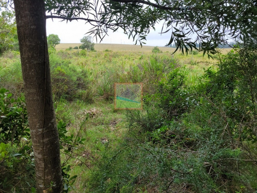 Imagen 11 de 30 de Campo 109 Hectáreas Garzón/rocha