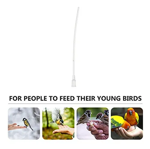 Feeder Para Aves Bebés 5pcs - Accesorios Parrot Y Mascotas