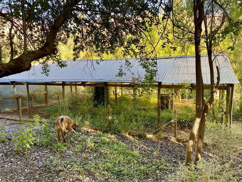 Parcela En Venta En Los Andes