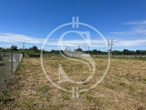 Terreno En Venta Los Pinos Sin Expensas Exaltacion