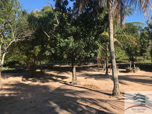 Imagem 14 de 23 de Granja A Venda Em Macaíba