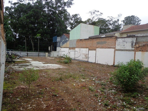 Imagem 4 de 6 de Terreno Para Aluguel, Jardim - Santo André/sp - 3348