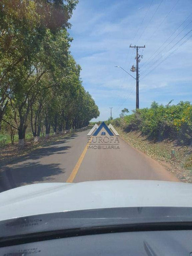 Imagem 13 de 15 de Chácara À Venda, 1500 M² Por R$ 160.000,00 - Pr-090, 445, Alvorada Do Su - Alvorada Do Sul/pr - Ch0274