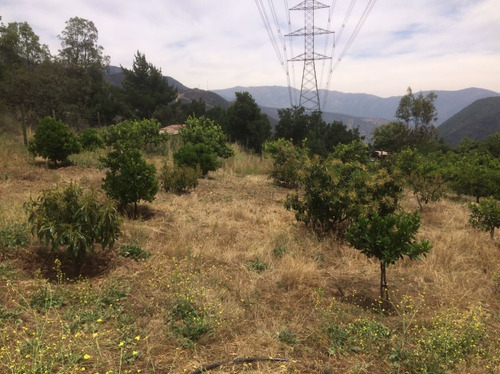 Parcela En Olmué: 2500 M² A 10 Min De El Rústico