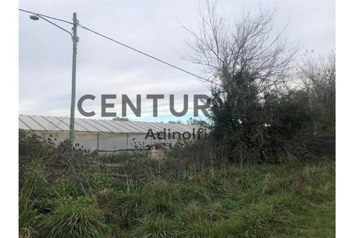Imagen 3 de 4 de 515 E/ 215 Y 220 - Fracción De Terreno A La Venta