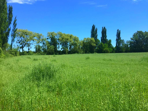 Parcelas A Minutos Centro Urbano Longaví Con Tierra Fértil