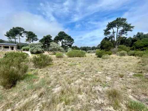 Venta Lote En Acres De Solanas Punta Ballena - Maldonado