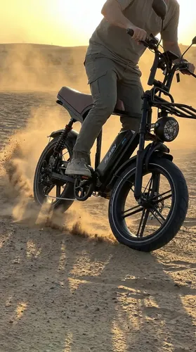 Bicicleta Elétrica Flash X20 Pro 1000w 32km/h Com Garupa