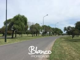 Imagen 3 de 6 de Gran Lote Interno Dentro Del Barrio Pilar Del Este - Santa Lucía