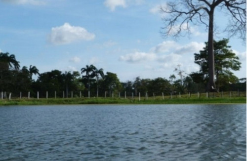 Imagen 13 de 14 de Venta Finca Los Apamates Boca De Aroa Piscina Cod. 426996 Cesar Laurentin