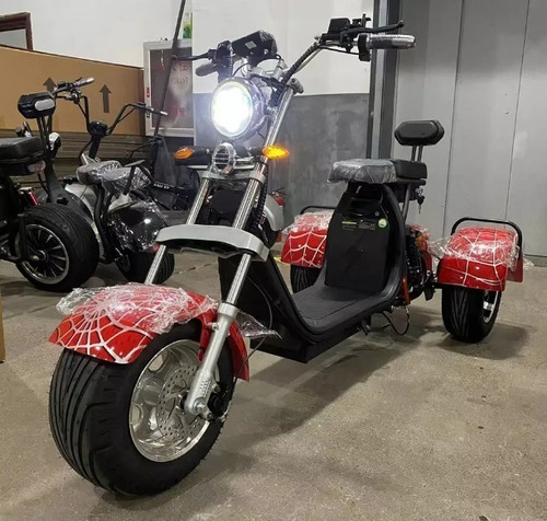 Imagen 12 de 15 de Moto Scooter Trimoto 3 Ruedas 2000w 20ah Autonomía 50km