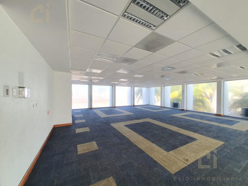 Oficina En Renta Sobre El Boulevard Adolfo Ruiz Cortines, Cerca De Plaza Mocambo, Se Encuentra En El Segundo Piso