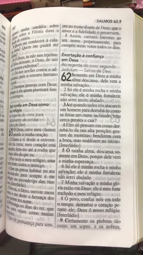 Bíblia Almeida Século 21 Letra gigante luxo - couro sintético marrom