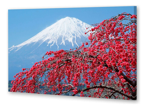 Cuadro 16x24cm Paisaje Japon Hanami Volcan Arbol Nieve