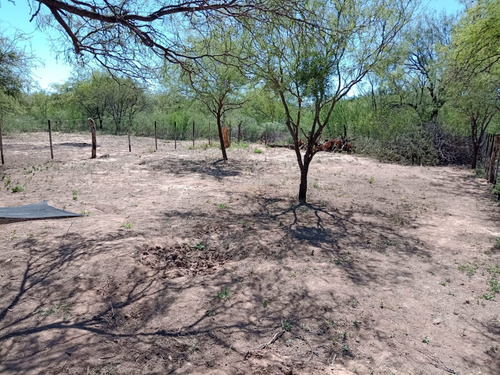 Terrenos Con Escritura.