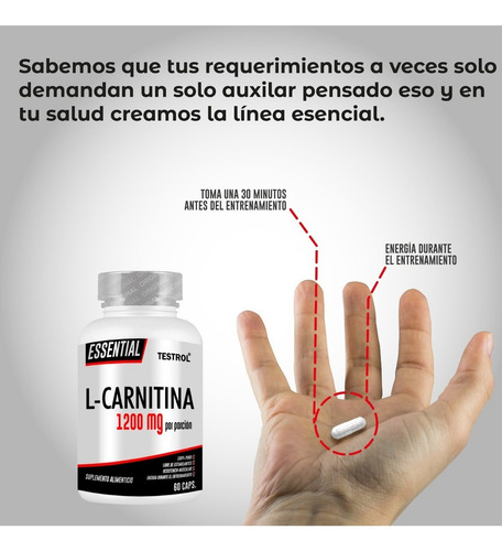 Carnitina 1200 Mg | Testrol | Essential | 60 Caps Sabor Sin sabor
