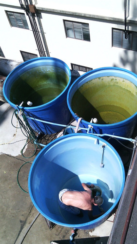 Imagen 10 de 10 de Reparaciones De Bombas Aguas Limpiezas Tanques Tableros Elec