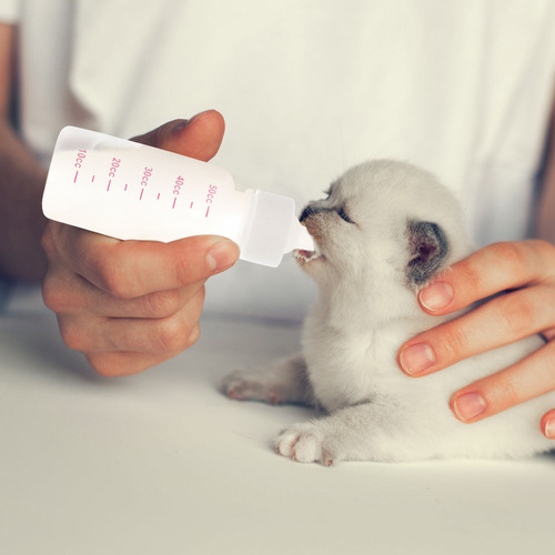 1 Juego De Biberones Pequeños De 50 Ml Para Mascotas Recién