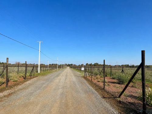 Parcela 5000m2 En Proyecto Los Avellanos, Zapallar, Curicó