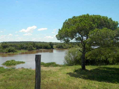 Estancia Isla Vizcaino 1569ha Ganadero Agricola Rio Negro Y Rio Uruguay