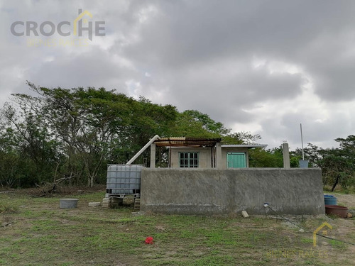 Imagen 7 de 8 de Terreno De 1.8 Hectáreas Con Producción De Limón En Tuzamapan, Coatepec, Veracruz