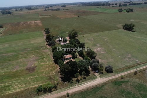 Imagen 16 de 22 de Terreno Campo En Venta Ubicado En General Rodríguez, G.b.a. Zona Oeste