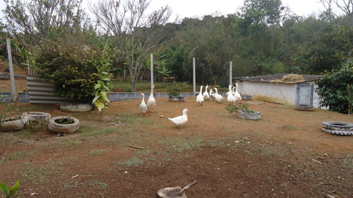 Chacara Paiolzinho C/lago Em 1700m2