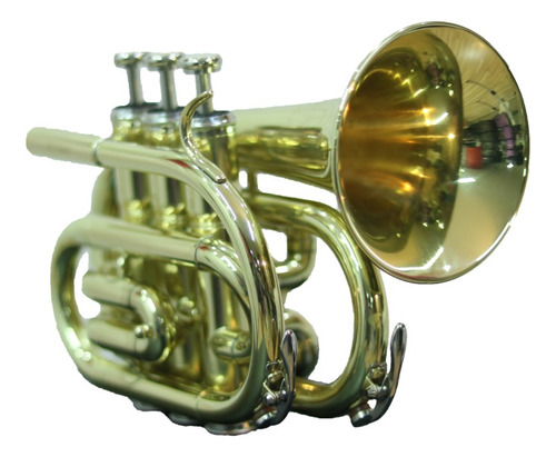 Trompeta Cyruswinds Pocket Laqueada 6500lcw