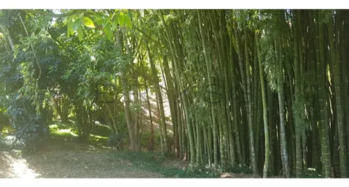 L-263 (venta Lote, Sector Rionegro)