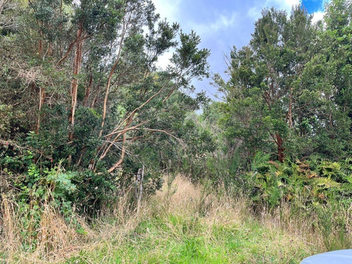 Imagen 4 de 13 de Se Vende Terreno En Chiloe Sector Chacao Costado Ruta 5