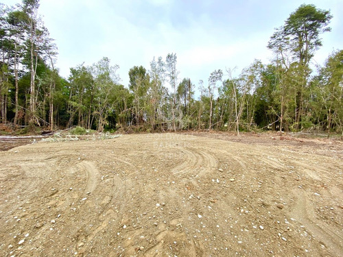 Entorno Tranquilo Y Seguro I Condominio Foresta