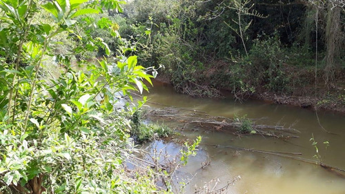 Imagem 21 de 24 de Chácara À Venda, 4900 M² Por R$ 1.400.000,00 - Buquirinha - São José Dos Campos/sp - Ch0079