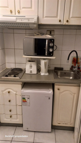 Departamento En Arriendo Amoblado, De 1 Dorm. En Providencia