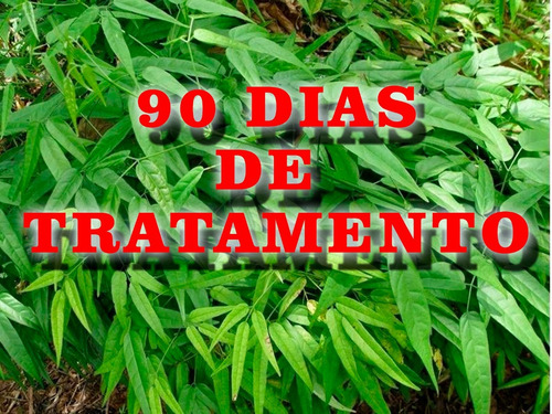 Crajiru Pariri Especiais Do Amazonas 90 Dias De Tratamento//