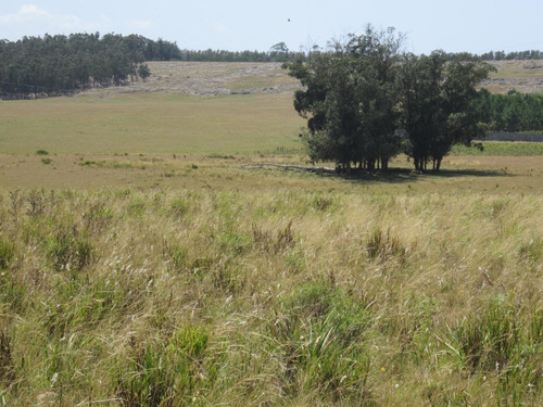 Chacra Cerro Eguzquiza - El Quijote - La Barra