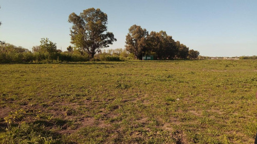 Imagen 11 de 14 de Terreno - Moreno - Venta De Lotes - Oportunidad - Financiacion.