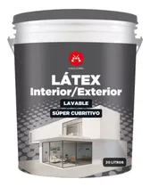 Comprar Látex Premium Migliore 20l Interior Y Exterior Pintura Lavable, Cubritiva Y De Alta Durabilidad, Ideal Para Paredes, Techos Y Fachadas Máxima Protección, Acabado Profesional Y Fácil Aplicación