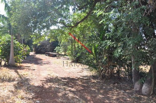 Imagem 5 de 16 de Terreno Para Empreendimento - 145028-v