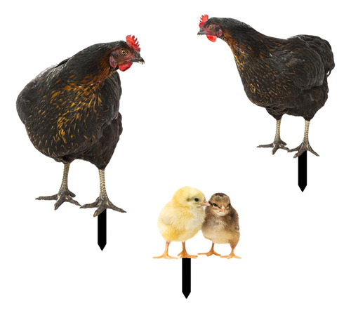 4 Piezas De Estacas De Estatua De Animales De Pollo,