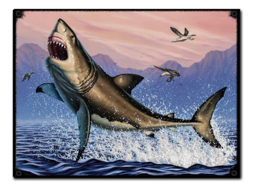 #918 - Cuadro Vintage - Pesca Pez Tiburón Poster No Chapa