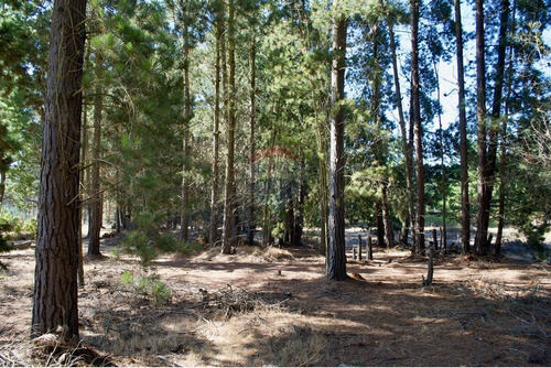Excelente Parcela De 1 Hectárea En Laguna Verde