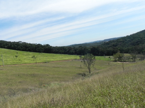 (sc) Lotes No Melhor Local De T.preta, Direto C/proprietario