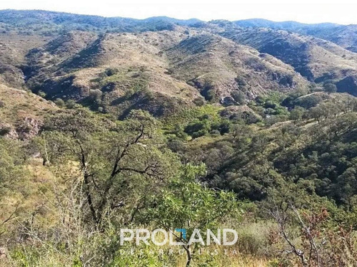 Imagen 6 de 9 de Oportunidad - Campo 62 Hectáreas - Cruz Del Eje - Córdoba