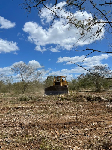 Imagen 8 de 20 de Lotes Residenciales De Inversión En Habinta Cerca De Chicxu