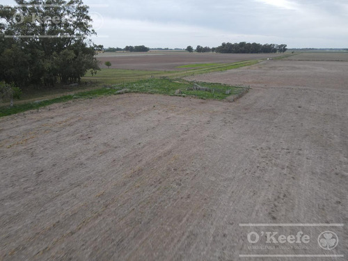 Imagen 3 de 13 de Campo En Venta De 90 Has En Saladillo Mixto
